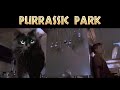 Jurassic Park - Starring my cat