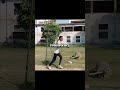 #legspinbowl #spin #cricketlover ##viralshort