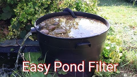 How to Build a Pond Filter For Crystal Clear Water