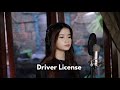 Driver License - Olivia Rodrigo | Shania Yan Cover