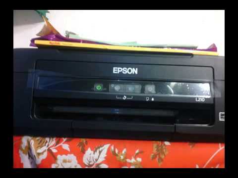 Epson L210: It is time to reset the ink levels SOLUTION ...