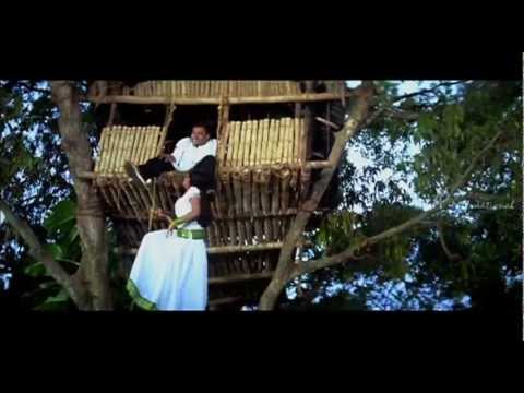 December Malayalam Movie  Malayalam Movie  Sneha Thumbi Song  Malayalam Movie Song