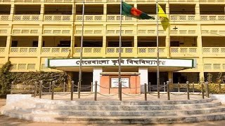 Mymensingh to Dhaka journey by train✌️✌️#travel #vlog #journey