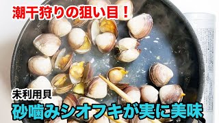 潮干狩りの狙い目！誰でも採れる未利用貝が美味い