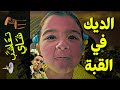 {تعاشب شاي}(624) الديك في القبة!