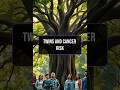 Twins and Cancer Risk – Twins might be your lucky charm!
