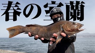 【アイナメ】春の室蘭沖堤防のパターンは？