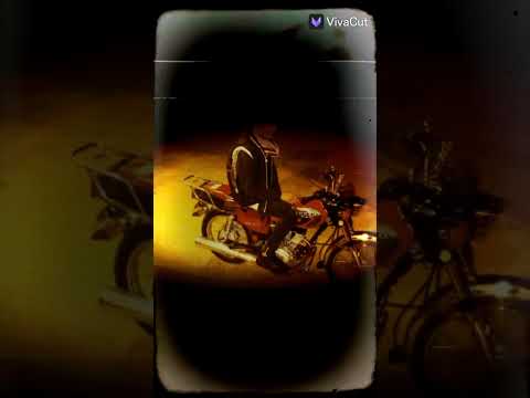 تشهد كل عباد الله السوري مو حيالله عالي رأسي ودايم فوق ما يركع الا لله