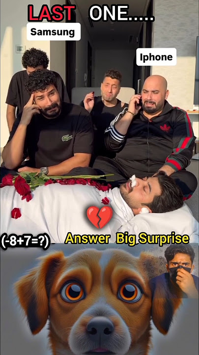 When Samsung Meets iPhone Ringtone #cat #meme #dance #trending