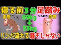 【寝る前３分！69kg→53kg】１時間歩くより寝たまま３分！足踏みだけでリンパ流し内臓洗浄で血液サラサラで勝手に中性脂肪も減って坐骨神経痛・脊柱管狭窄症・変形性膝関節症も解消！