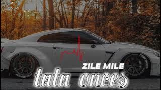 ZILE MILE - Lagu Remix Viral TikTok (Tata Onces Remix) 2023