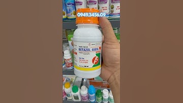 Thuốc đặc trị cỏ chác lác trên lúa, không sượng lúa#thuoctruco #nôngnghiệp #lua #nôngdân