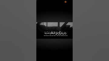 «ومن يتوكل علي الله فهو حسبه 💕💕تلاوة رائعة ماشاء الله ✨»
