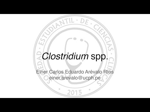 Vídeo: Especies De Clostridium Como Probióticos: Potenciales Y Desafíos