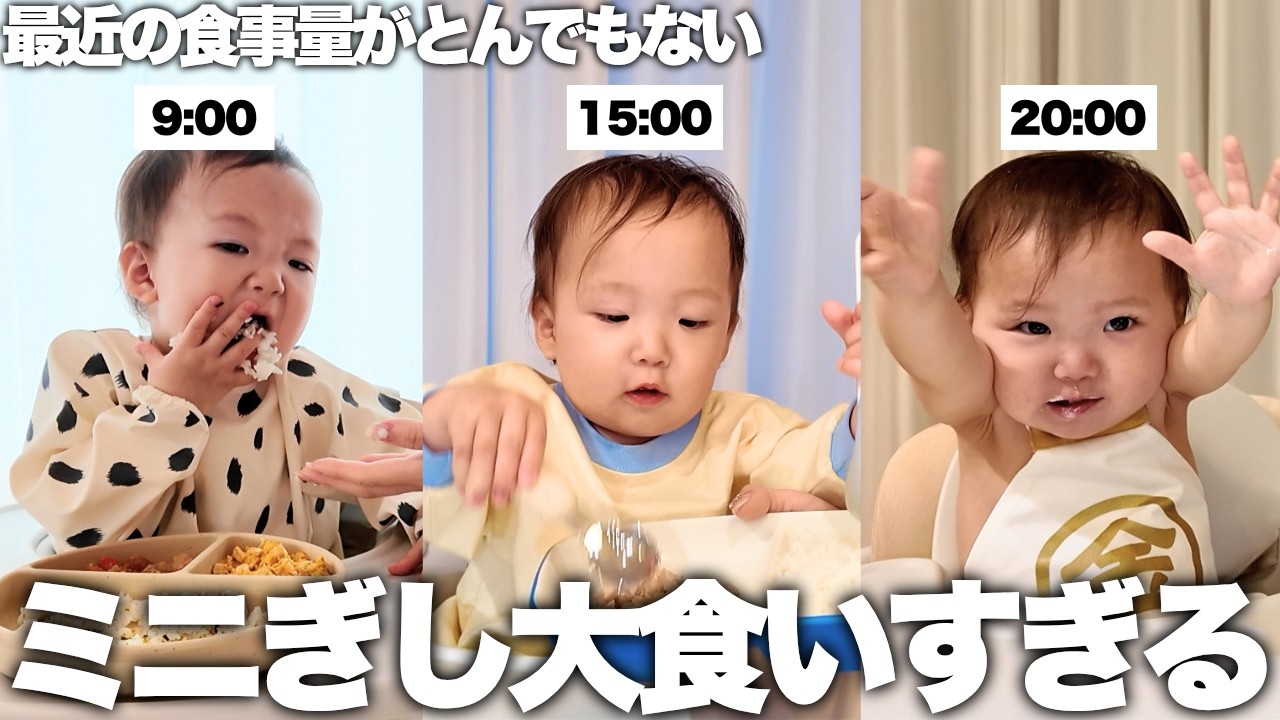 最近爆食してるミニぎしの1日の食事に密着してみたら食欲が凄すぎた