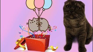 КОТЕНОК ДОМА ПЕРВЫЙ ДЕНЬ.ЧТО СКАЖЕТ МАМА.ИМЯ КОТЕНКУ. КОТЕНОК ДОМА ПЕРВЫЙ ДЕНЬ.ЧТО СКАЖЕТ МАМА.ИМЯ КОТЕНКУ.