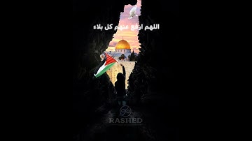اللهم انصر اخواننا في #فلسطين 🤍🇵🇸#قران #قران_كريم #سوره #ايه #ترتيل #قرآن #قرآن_كريم #تلاوه #تلاوة