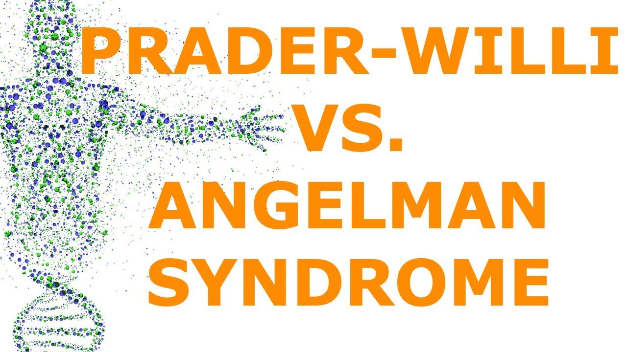 Prader-Willi Vs. Angelman Syndrome (Imprinting)