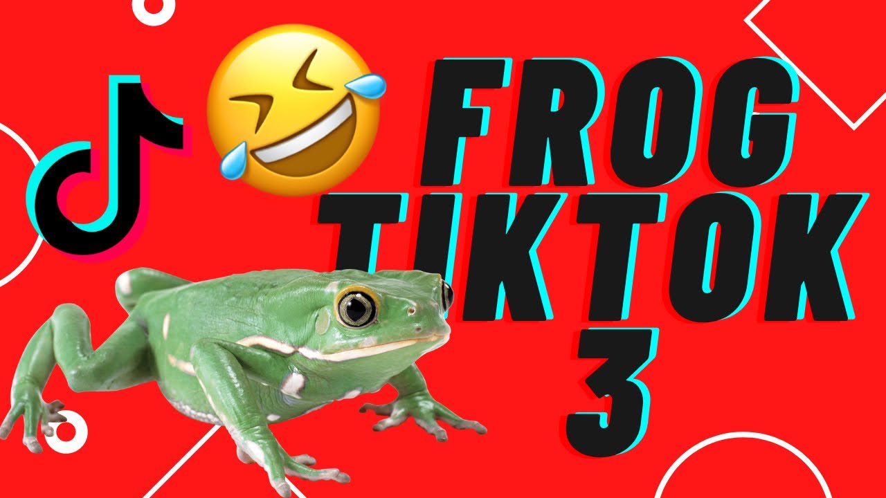 Funny TikTok Compilation Frog Edition 3 YouTube