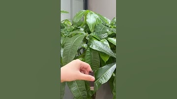 Say goodbye to port anxiety.The Lention 10-in-1 Dock connects everything, stays cool