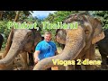 Big Z in Phuket, Thailand. Vlog 3