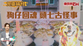 何展睿 狗仔回魂 頭七古怪事