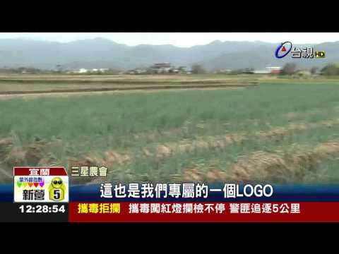 魚目混珠!便宜蔥仿冒三星蔥市場流竄