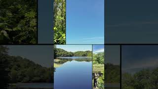 a hike in Simmons Mill, RI