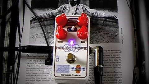 Catalinbread Heliotrope