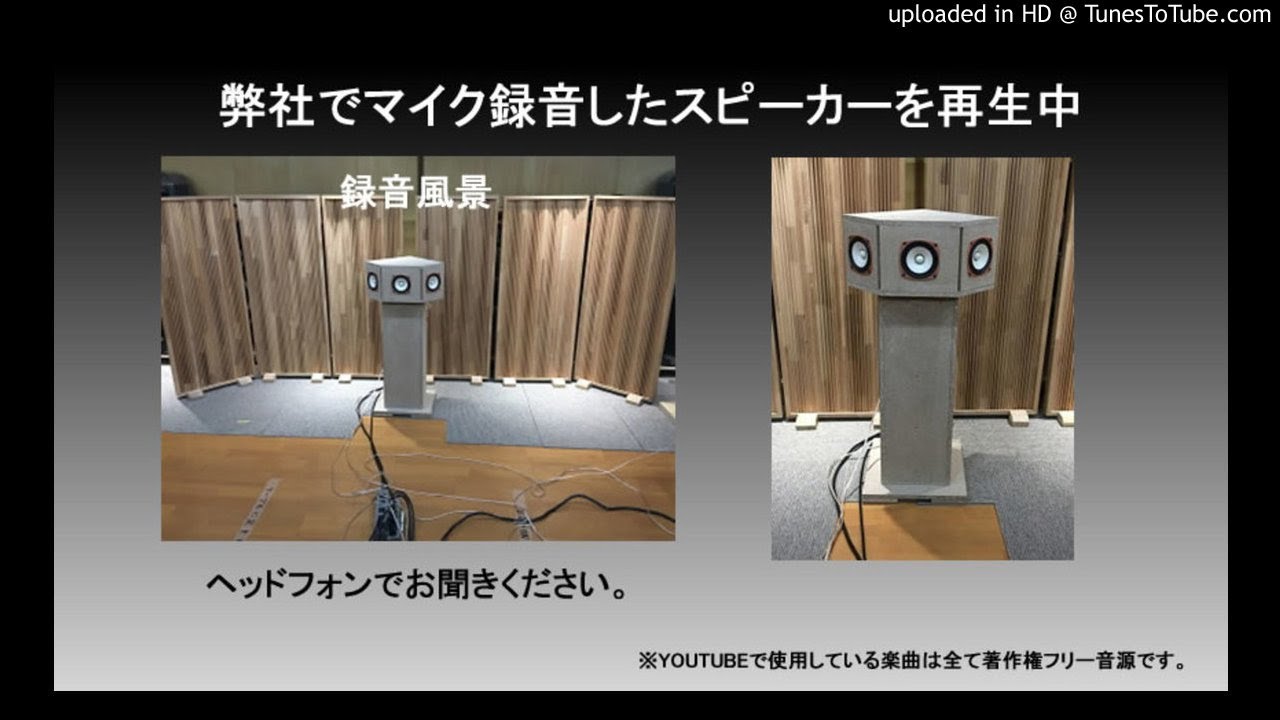 マトリックス　スピーカー 長岡鉄男スピーカー研究 MX-20AV(セミマトリックススピーカー） | 音