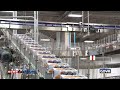 How canned food is made  endofline solutions at goya factory in texas  usa developed by ocme