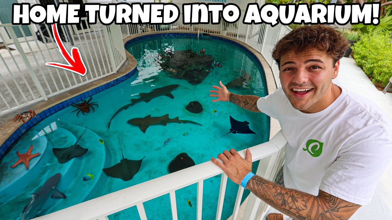 They Turned the ENTIRE HOUSE into an AQUARIUM!!