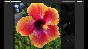 Adding Prints to the Layout in Qimage One
