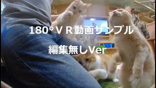 180°VR動画サンプル編集無しVer #vr