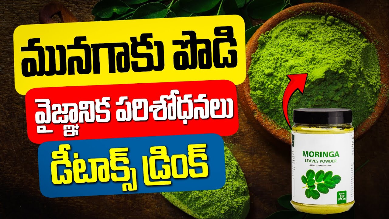 మునగ ఆకు పొడి పై వైజ్ఞానిక పరిశోధనలు | Scientific Research on Moringa Leaf Powder | #moringa
