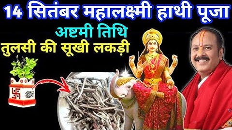 15 सितंबर पितृपक्ष, अष्टमी तिथि तुलसी की सूखी लकड़ी वाला उपाय जरूर करें || pradeep mishra