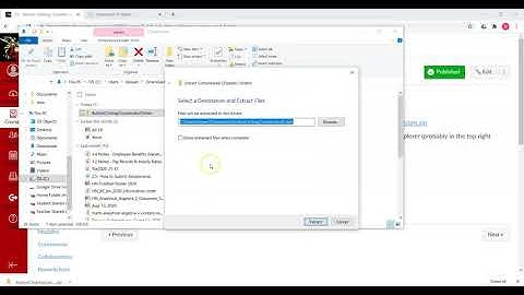 Visual C# 3.5a- Downloading and Extracting a ZIP file of a Visual C  Project