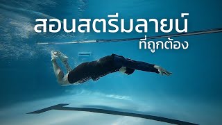 สอนสตรีมลายน์ท่าผีเสื้อที่ถูกต้อง | SwimmingLab