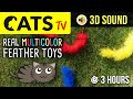 CATS TV - REAL Multicolor Feather Cat Toys 😻 3 HOURS 60fps [FOR CATS ONLY]