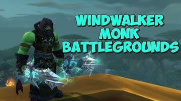 Vengeance DH Godmode - WW Monk PvP Battlegrounds - WoW BFA 8.1