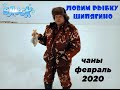 Ловим рыбку. Шипягино. Рыбалка на Чанах. Февраль 2020