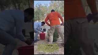 🌱 Making Our Environment Greener | Plant a Tree, Save the Future