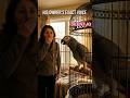 🦜 Parrot Repeated His Owner's Last Words for 10 Years