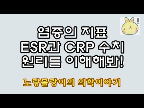   ESR 적혈구 침강속도 Erythrocyte Sedimentation Rate 과 CRP C Reactive Protein C 반응성단백