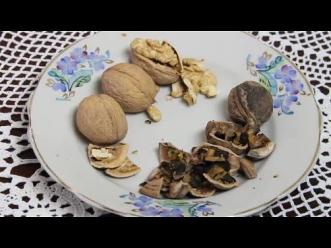 Как правильно выбрать грецкие орехи