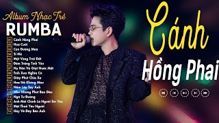 RUMBA NHẠC TRẺ THỊNH HÀNH - SIÊU PHẨM ĐẠT LONG VINH COVER XUẤT SẮC NHẤT - NHẠC RUMBA HOT TIKTOK