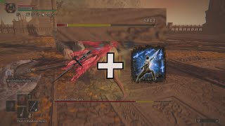Elden Ring - Godfrey Cheese, Cold Miséricorde is Incredible Crit Damage [Magic Assassin Build]