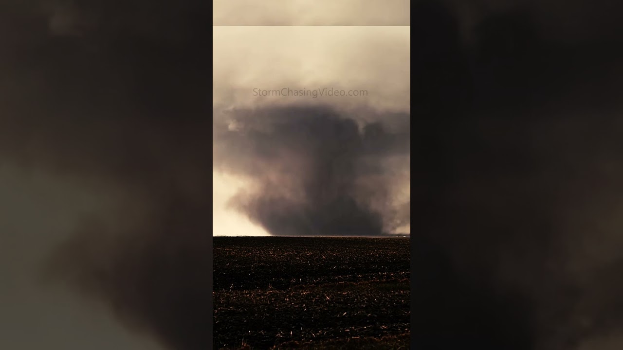Large Tornado Rips through the Field! #shorts