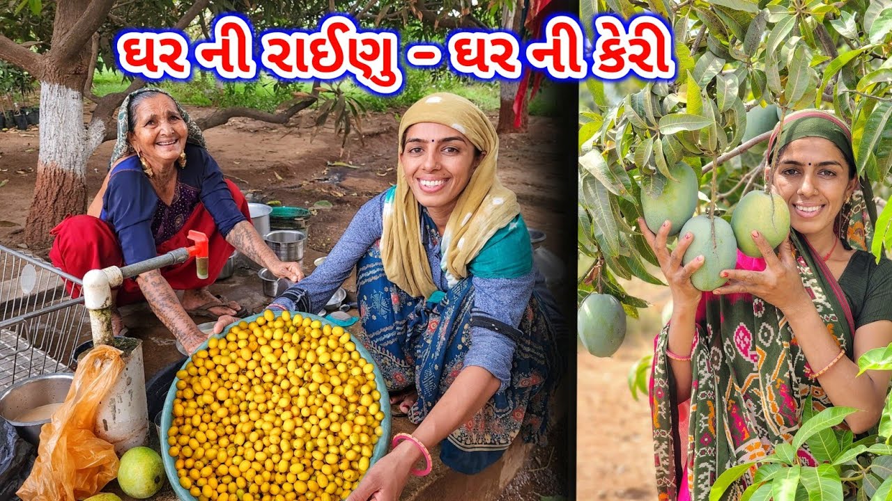 બગીચા મા રાયનું ને કેરી બન્ને | પથારા પૈડા | JSK Life 1031
