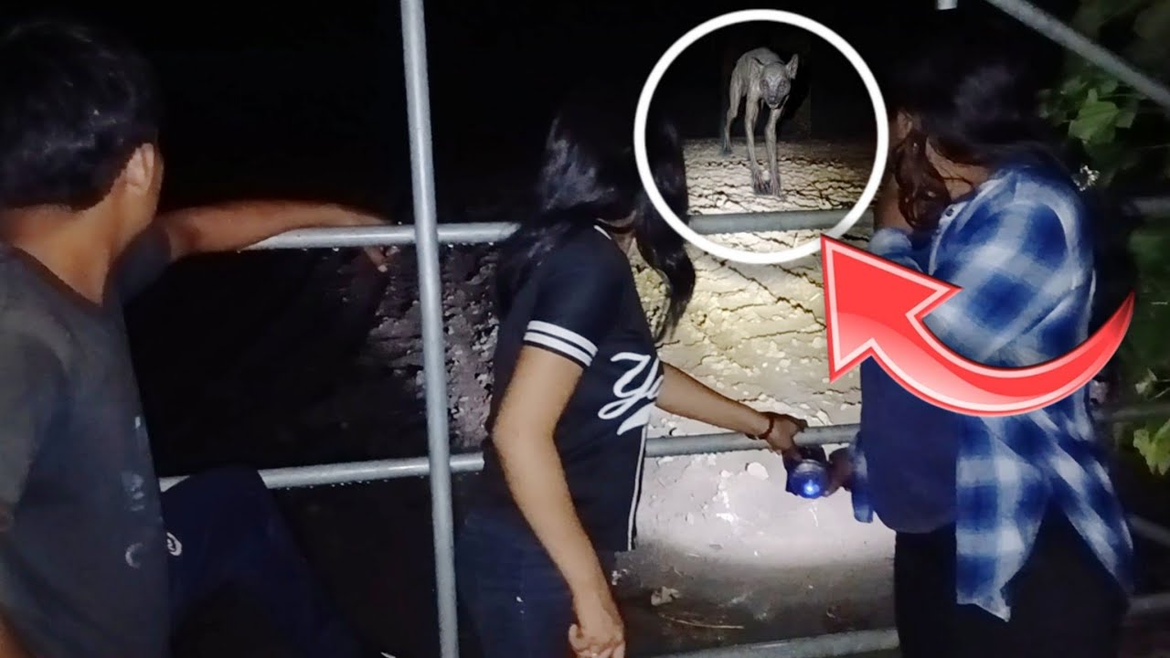 Nos Volvió Aparecer El CHUPACABRAS En Este Lugar😱 Corrió A Toñita Y Todo El Grupo 